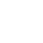 hyundi