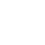 volkswagon
